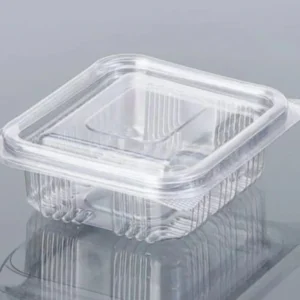 PVC 100ml Hinged Box | 1pc Brownie Box