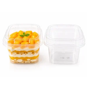 Vertical Plastic Container With Lid & Spoon - 5pc