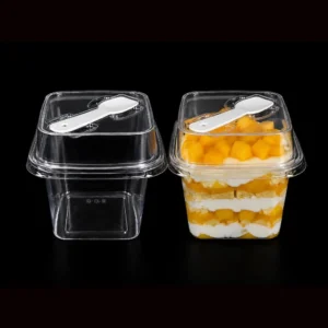 plastic tub with lid