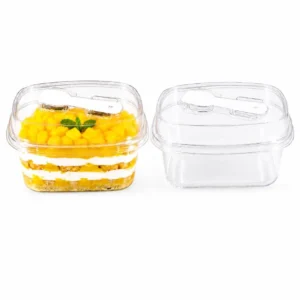 Rectangle PET Plastic Disposable Clear Container With Lid & Spoon - 5pc